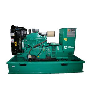 Grupo Generador Cummins 44Kva Sin Cabina