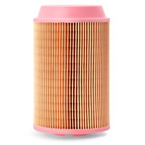 Filtro de aire Fleetguard AF26387