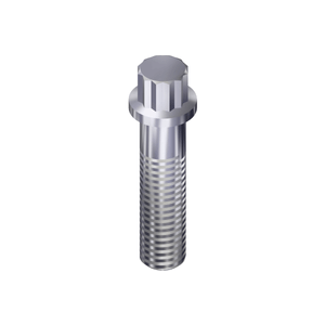 Tornillo de Cabeza de Doce Puntos 3001811